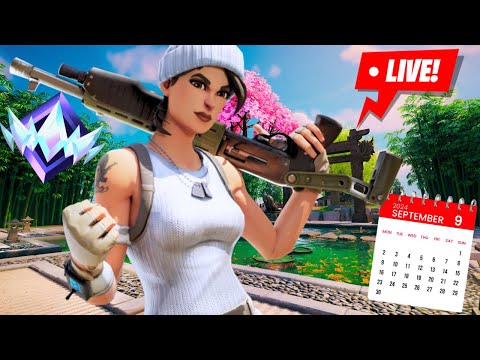 🚨DAY 333 Of Streaming Fortnite EVERYDAY!🚨(Twitch VOD)