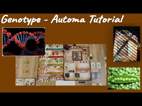 Genotype: An Automa Tutorial