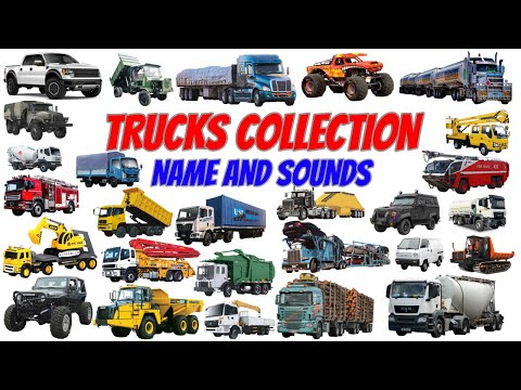 Dump truck, Crane truck, Garbage truck, Mixer truck | Trucks Collection Name Sounds | Vehicle Name