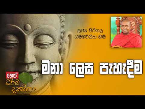 Darma Dakshina 2019.06.19 - Pitigala Dammawinitha Himi