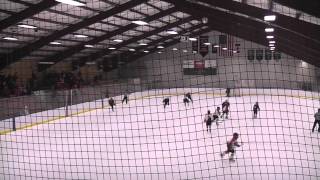 preview picture of video 'Wayzata Peewee B Yellow vs Crow River (2-6-12)'