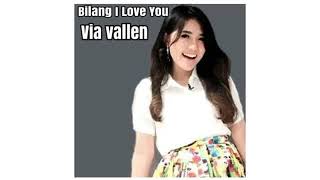 Bilang I love You-Via Vallen