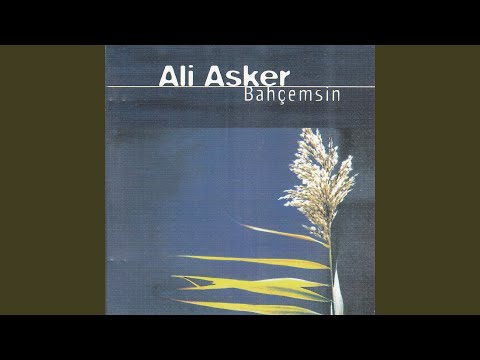 Yıllardır Firardayım