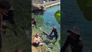 Touching these beautiful creatures feels awesome | Prince Cruise Line | Star Princess Review 2026