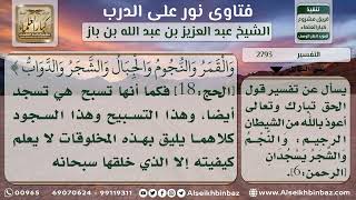 2793 - تفسير قوله تعالى (وَالنَّجْمُ وَالشَّجَرُ يَسْجُدَانِ) - نور على الدرب image