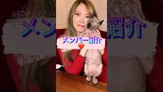 【自己紹介】久しぶりのメンバー紹介🥰😻😻❤️vlog3 #shorts #猫#イタリア#vlog