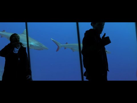 TBRW & Feli ciano - Flip it like a Dolphin (Official Music Video) prod. by TBRW & VJBEVTZ
