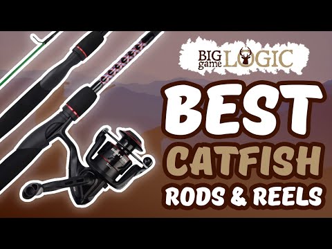 Best Catfish Rods and Reels 🎣: Buyer’s Guide Review | Big Game Logic