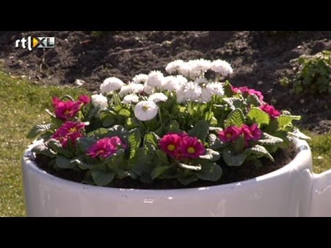 Doe het zelf op je balkon & terras - KOFFIETIJD