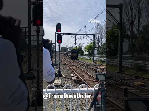 Pacific National TT Class Honks - BTS 🎥 #shorts