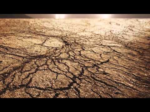 A Cappellissimo - Famine song