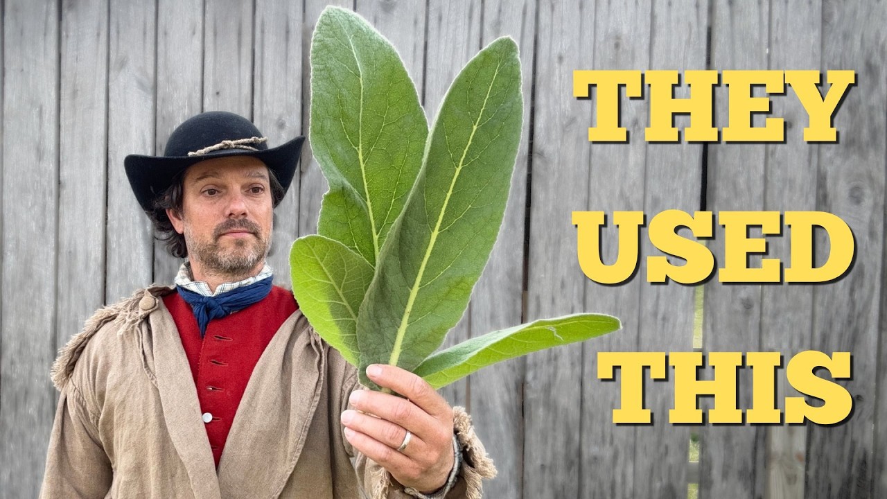 Warum diese Pflanze der Kolonialzeit folgte