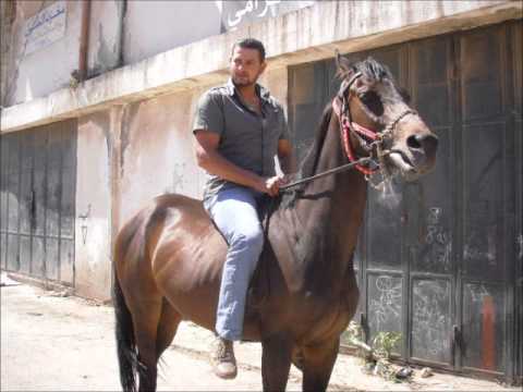 Happy birthday farouk :)