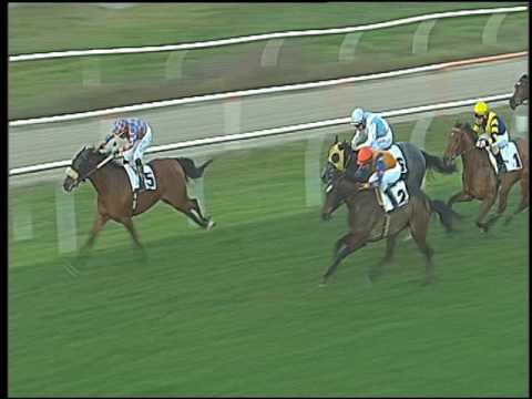 Galoppo 09/12/2016 - 2ª corsa