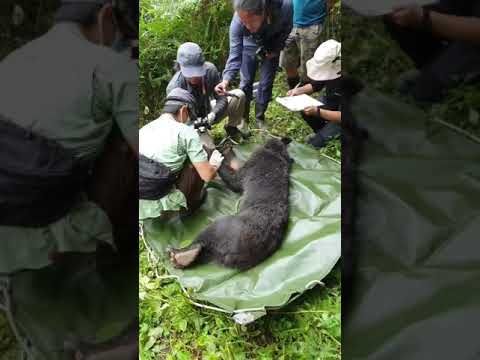 1090421-傷勢檢查及傷口清創