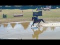 Top jument de sport 