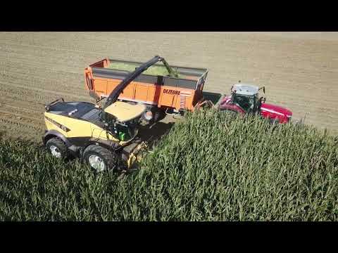 Loonbedrijf Verplancke | Mais hakselen | New Holland FR 780 |
