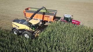 Loonbedrijf Verplancke | Mais hakselen | New Holland FR 780 |