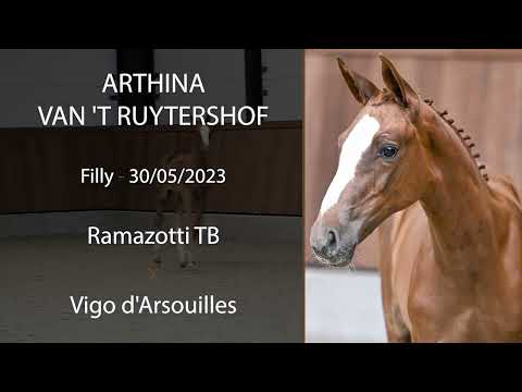 Arthina van 't Ruytershof (Ramazotti TB x Vigo d'Arsouilles)