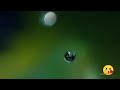 Beautiful Nature Whatsapp Status Full Screen