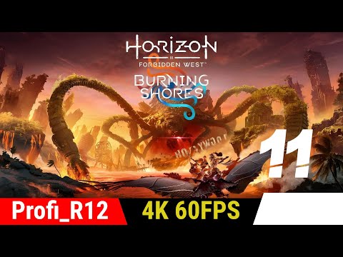 Przechwyt w powietrzu: Północny zachód | Horizon: Forbidden West - Burning Shores PC (PL) [#11]