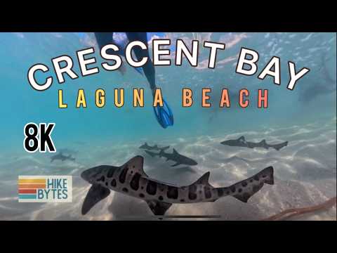 SNORKELING Crescent Bay | Underwater Paradise | Laguna Beach California | SwImming with Sharks