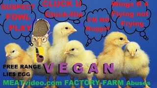 FUNNY Animal Rights MEME Chicken Fowl Play Wings Fly Not Fry Not Nugget Meat Vegan Cow Burger Poach