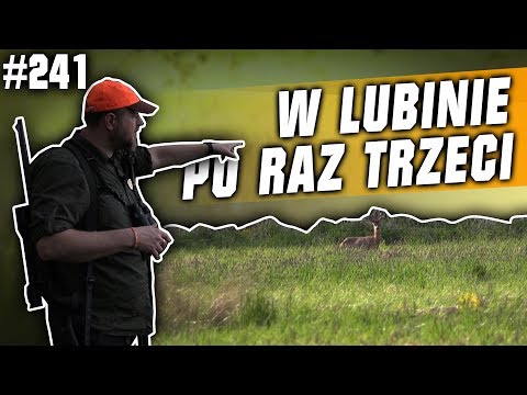 Darz Bór odc 241 - Polowanie w Lubinie po raz trzeci