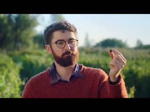 Ribena Blackcurrant TV Ad