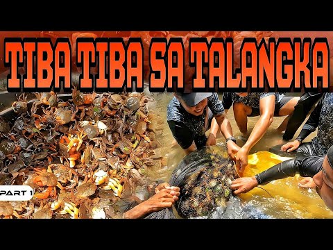 P1-Tiba sa Talangka - EP1099