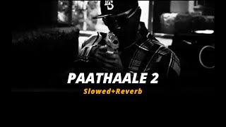 Download lagu PAATHAALE 2  ( Slowed Reverb ) mp3