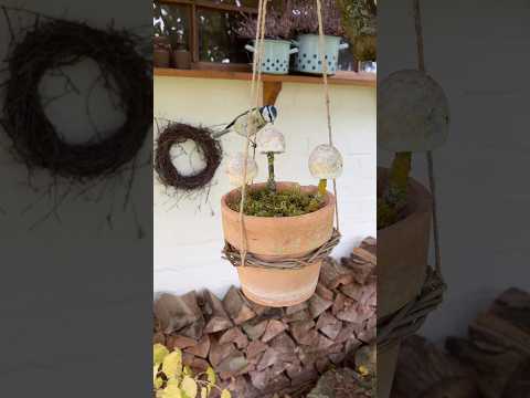 DIY Vogelfutter Pilze selbstgemacht für Gartenvögel