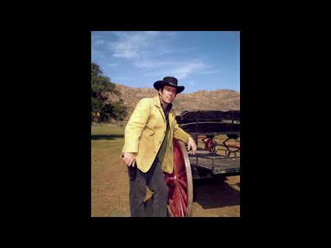 Rake And A Ramblin' Boy  -  Pernell Roberts