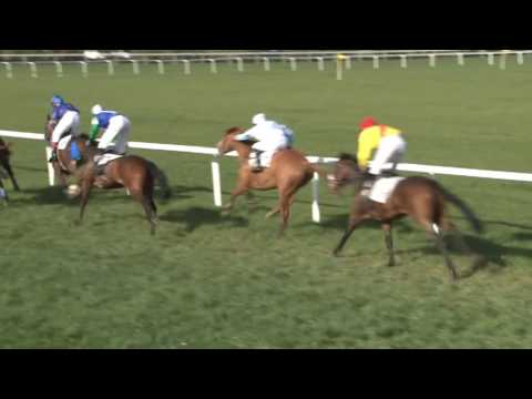 MI, 16. 4. 2017, 7. dostih - Cena firmy ROKO