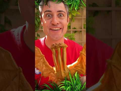 Mystical Creatures and Magical Animals on Baba Blast!  #kidslearning  #kidsvideo