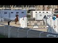 Hongre 7 ans Selle-Français CSO