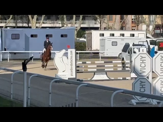 Hongre 7 ans Selle-Français CSO