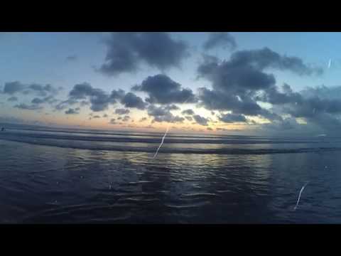 Steve Aoki & Icona Pop - I love My Friends(Ayub Handhika Balinese Drops Remix)(Official Music Video)