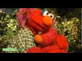 Sesame Street When Families Grieve With Katie Couric How To Help