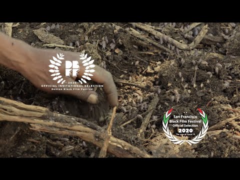 Follow the Drinking Gourd