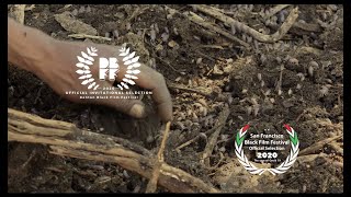 TRAILER for Follow the Drinking Gourd