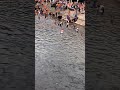 Holy River PAMPA Devotional Sabarimala Holyriver