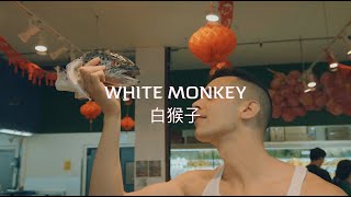 [音樂] 白猴子by樂樂法利LeLe Farley feat. DeDe Harlan
