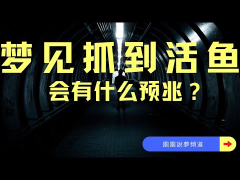 夢見活魚
