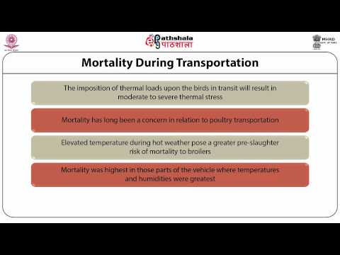 Inspection & Pre-slaughter care of poultry