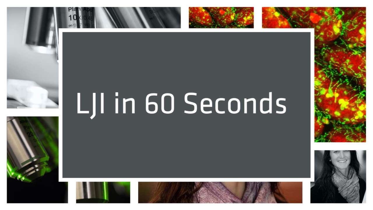 LJI in 60 Seconds
