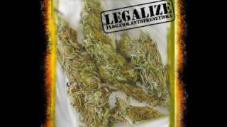 la yerba del rey-morodo