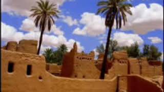 أ.د. علي الشبل | دعابة في حلقة الشيخ محمد بن إبراهيم آل الشيخ رحمه الله تعالى image