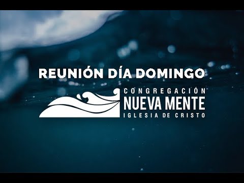 domingo 02 de Agosto de 2015