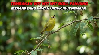 Download lagu PANCINGAN PLECI NEMBAK WIT WIT WIT ROLL PANJANG, MERANGSANG LAWAN IKUT NEMBAK DAN BUKPAR mp3